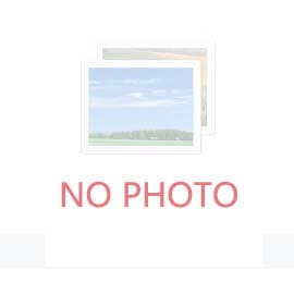 2030年我國工程機(jī)械行業(yè)會(huì)面臨哪些機(jī)遇和挑戰(zhàn)？